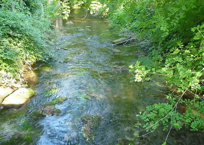 En Pierres Avec Poele Et Animaux Admis - Fr-1-653-79 Semesterbostad Asnières-sur-Nouère